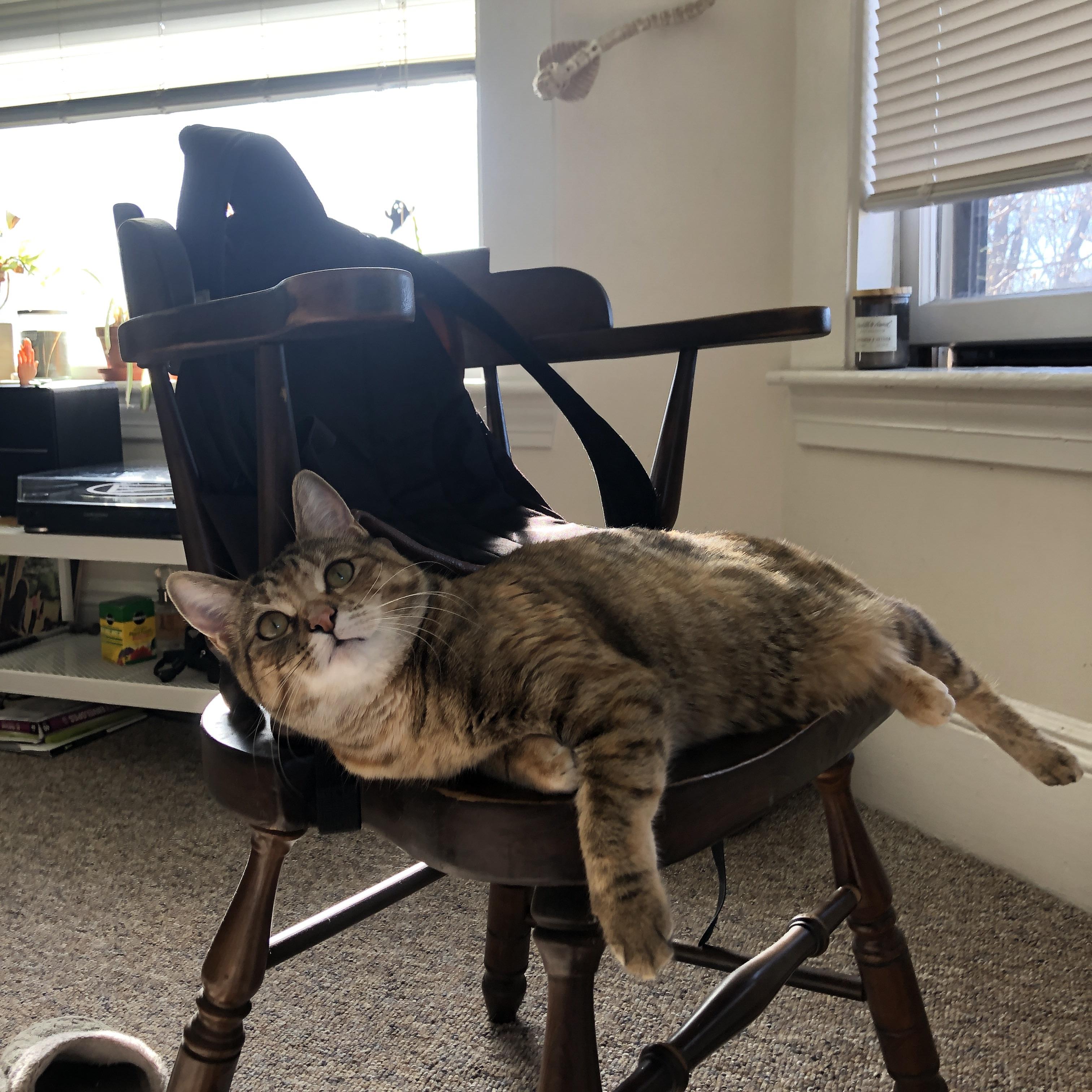 伦纳德关键时刻显神威，广东队力克上海队晋级下一轮