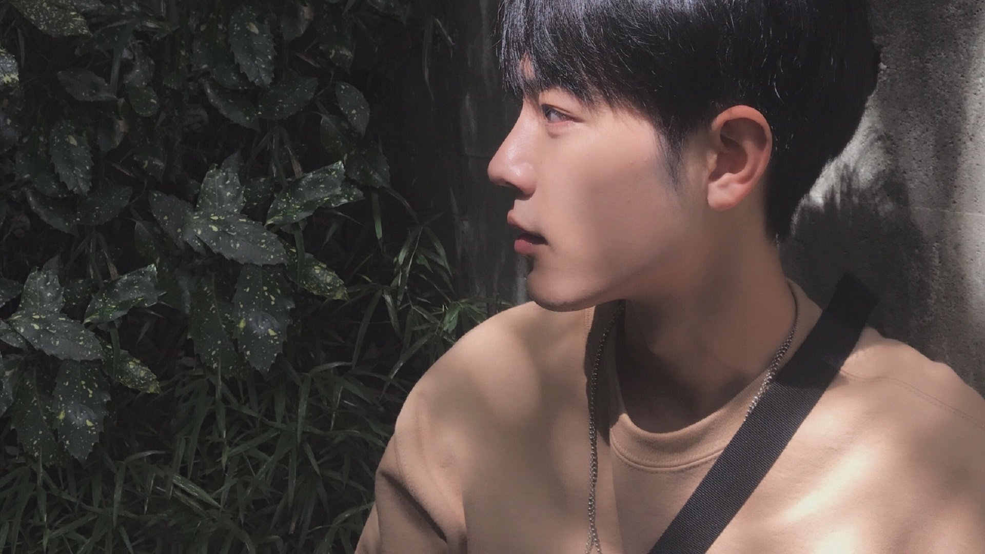 非典型胜利,当集体主义冰川撞上个人英雄主义火山