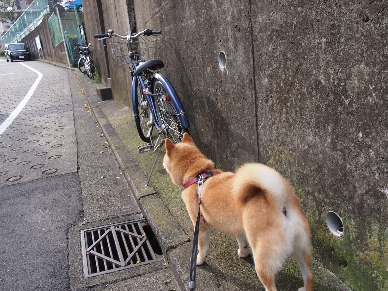 掘金破局!强势晋级背后,贝恩破界刷新纪录