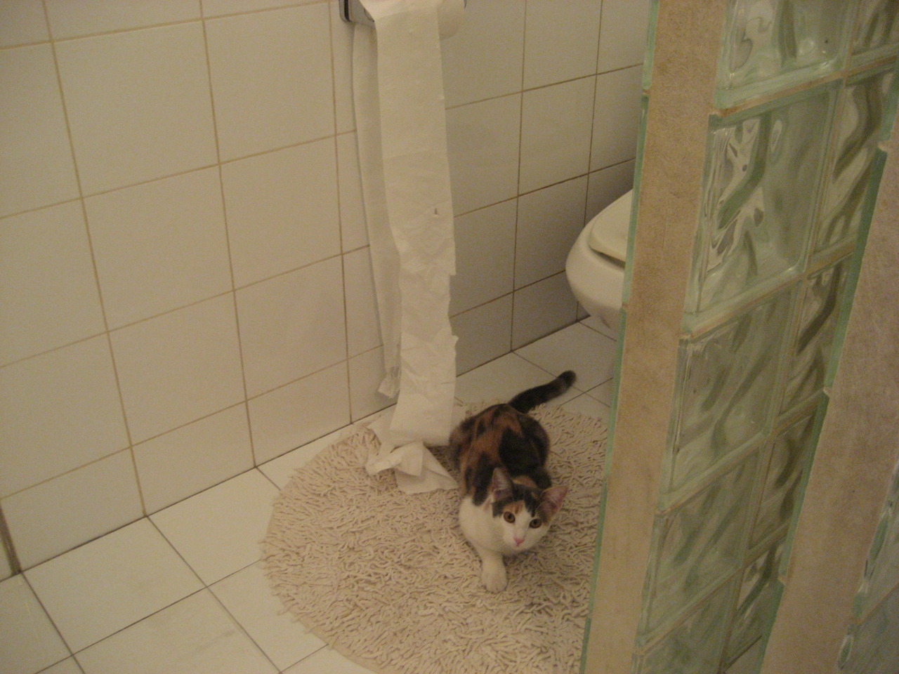 劳塔罗一锤定音！墨西哥球队淘汰赛力克亚特兰大，巨星光芒照亮晋级路