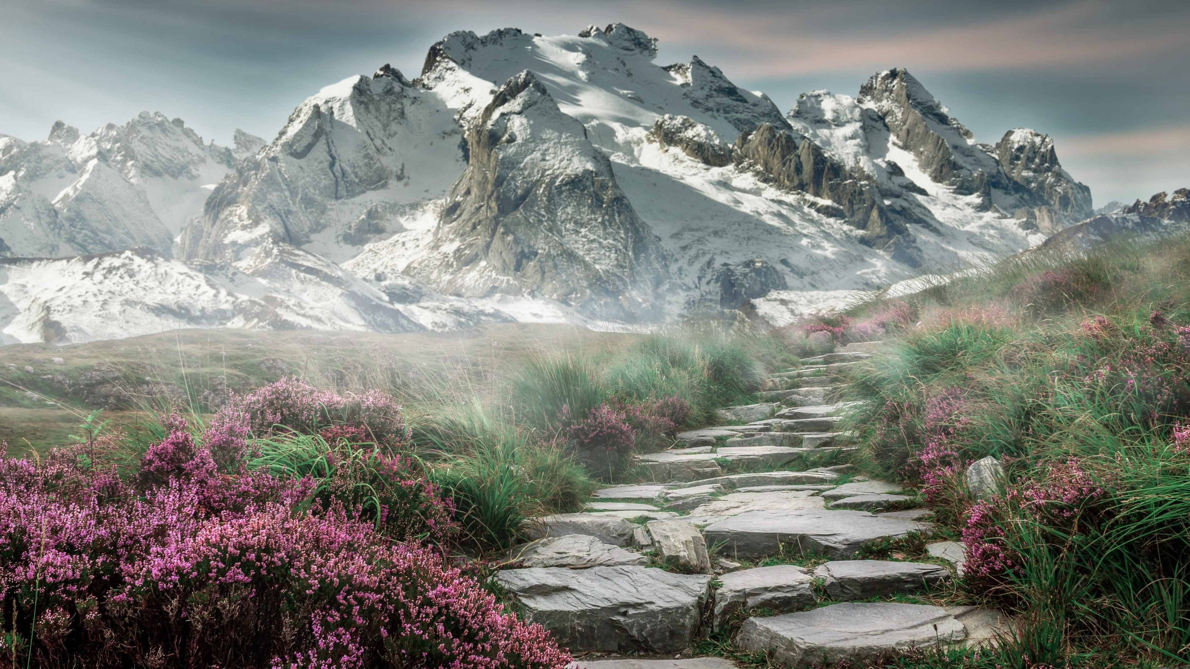 运筹帷幄的球场指挥家，西亚卡姆一手导演雄鹿擒活塞的胜负交响曲