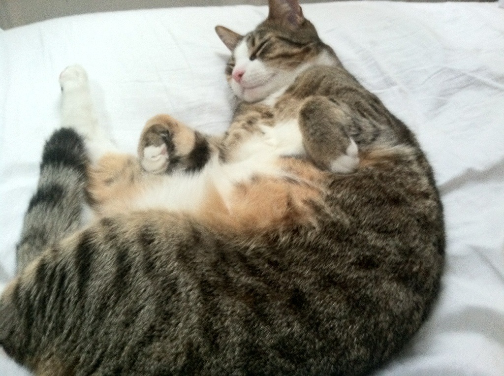 双重火焰，巴萨绝杀马赛，克瓦拉茨赫利亚一人打爆整条防线