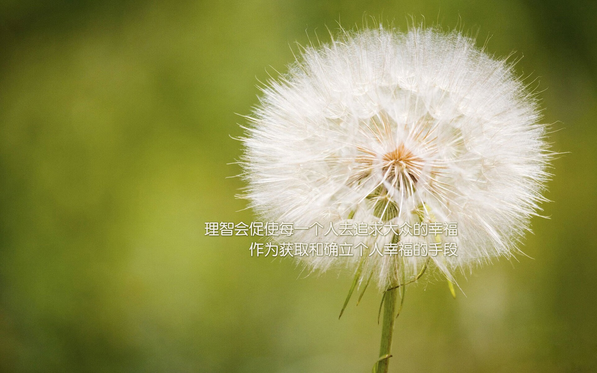 冰山锁链与火山反击，喀麦隆巨人布鲁诺如何以沉默防守改写战局