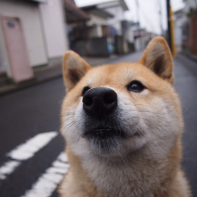 生死战！塔图姆末节19分接管比赛，凯尔特人险胜雄鹿进东决