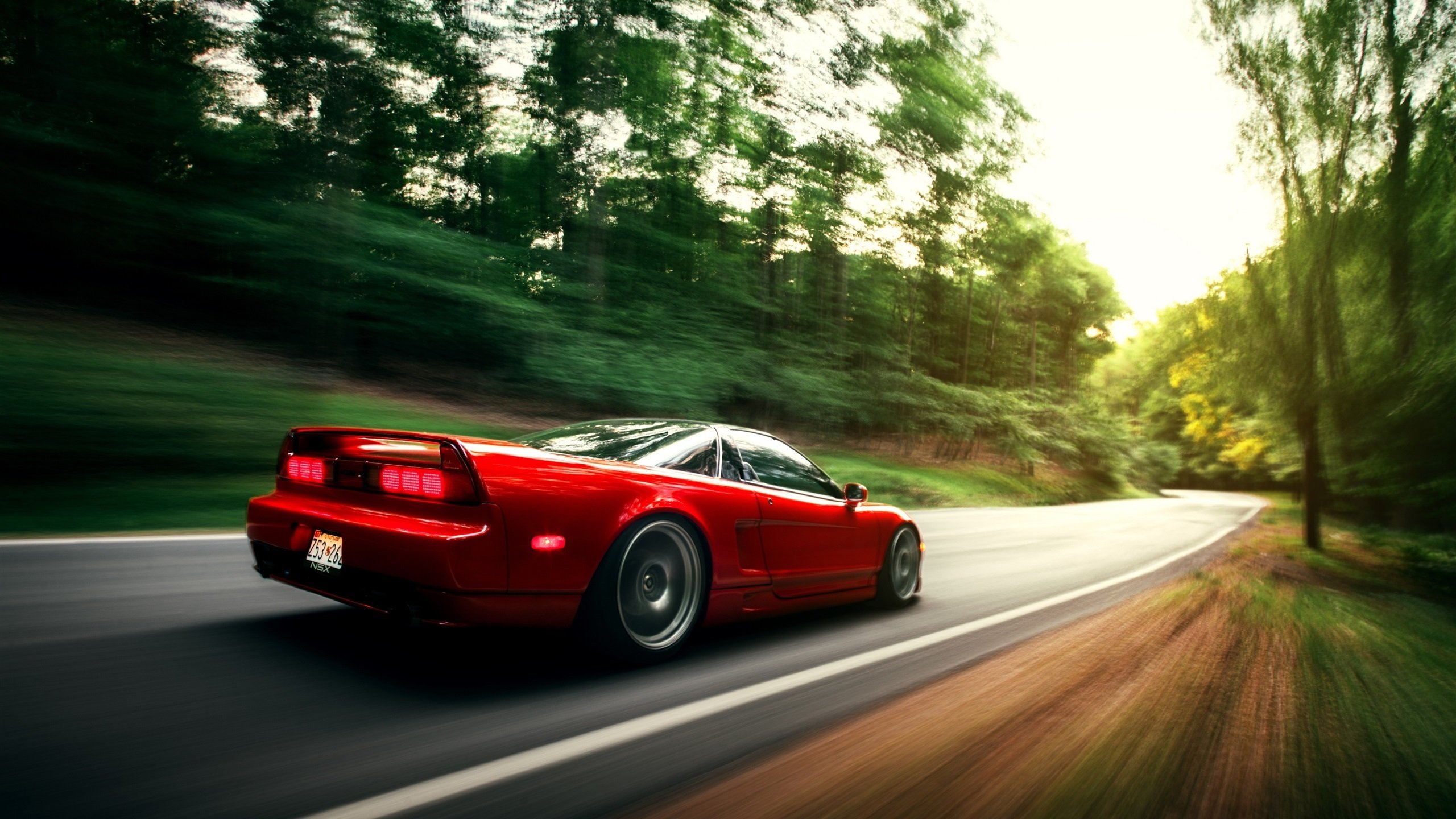 伊萨克闪耀全场,厄瓜多尔强势击溃爱尔兰