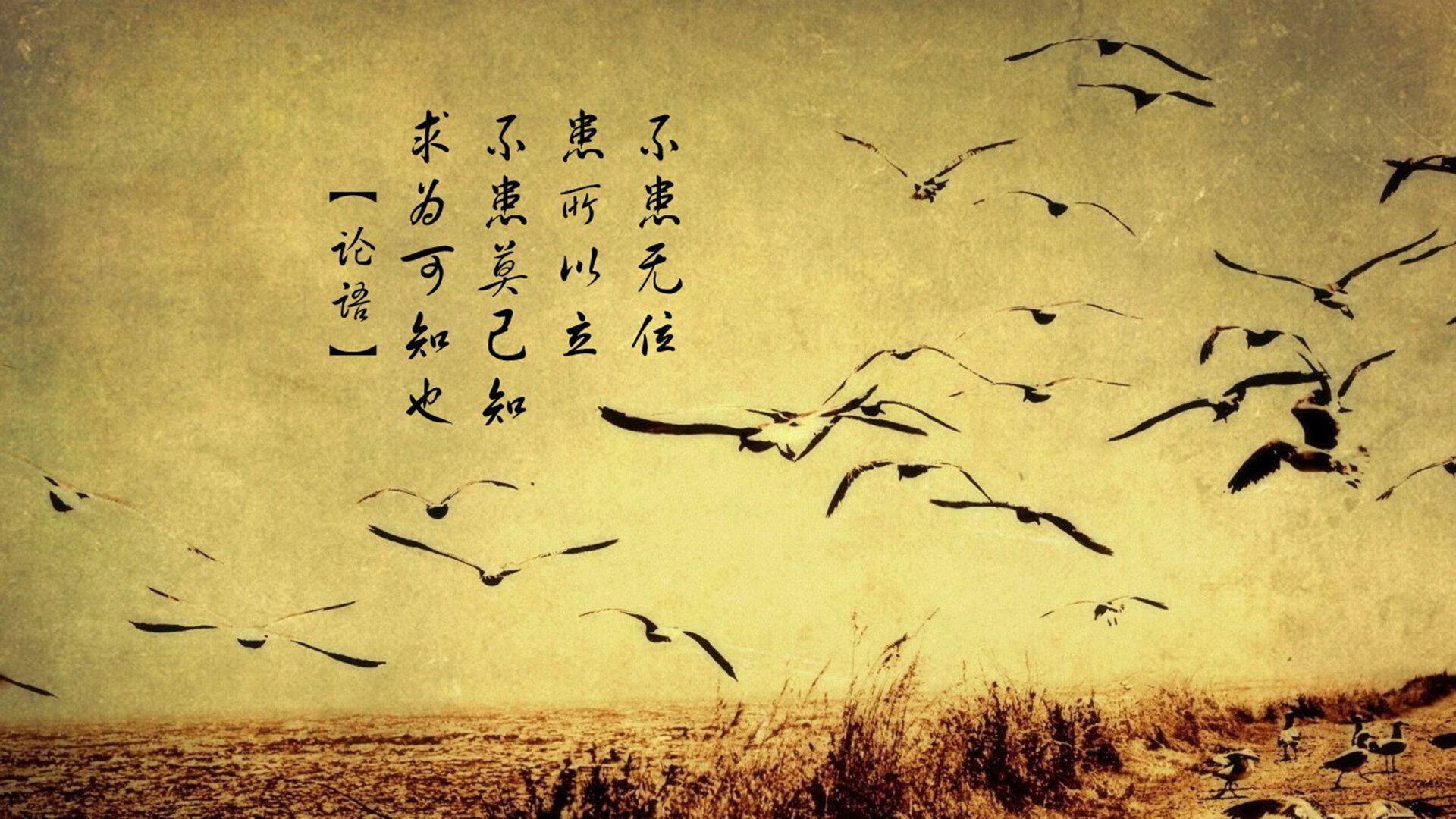 舞台越大,越疯狂,福登与里昂揭示的强者密码