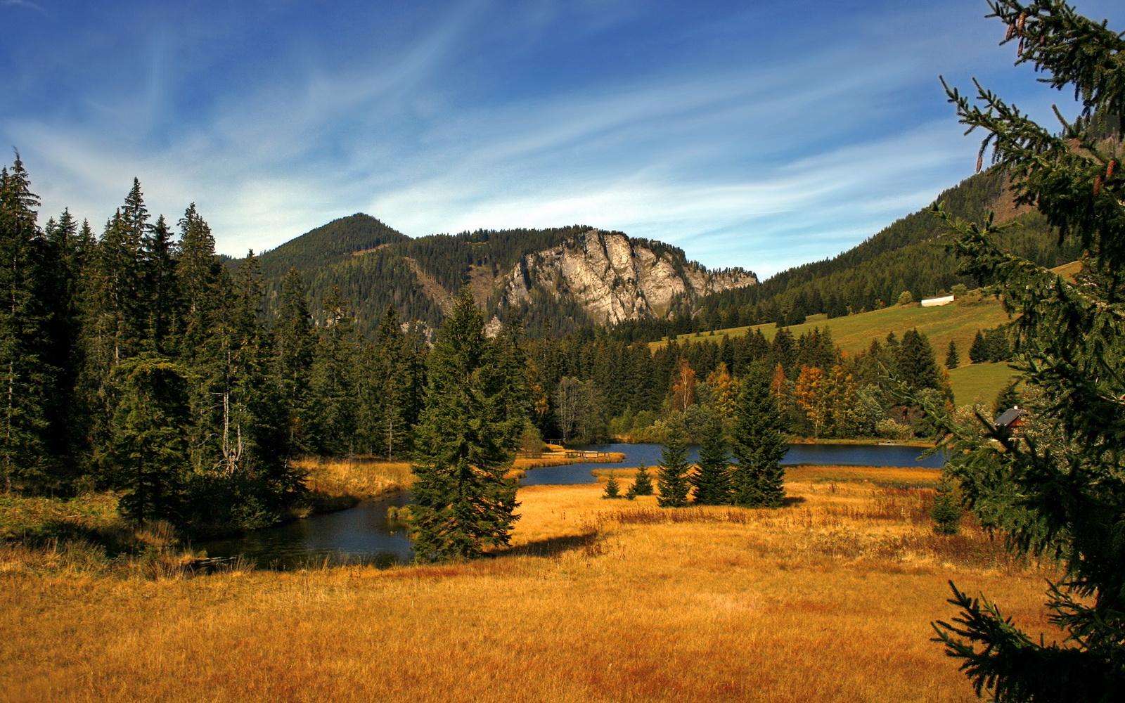 舞台越大,越疯狂,福登与里昂揭示的强者密码
