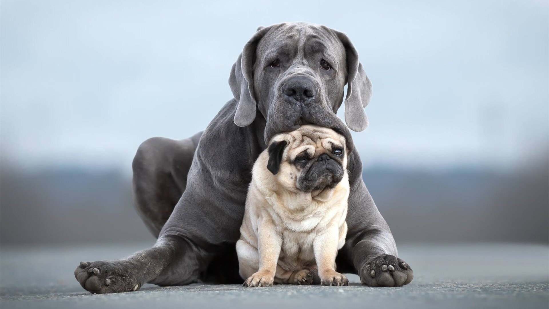 欧冠烽烟，当国王的防守绞索锁住76人的利刃