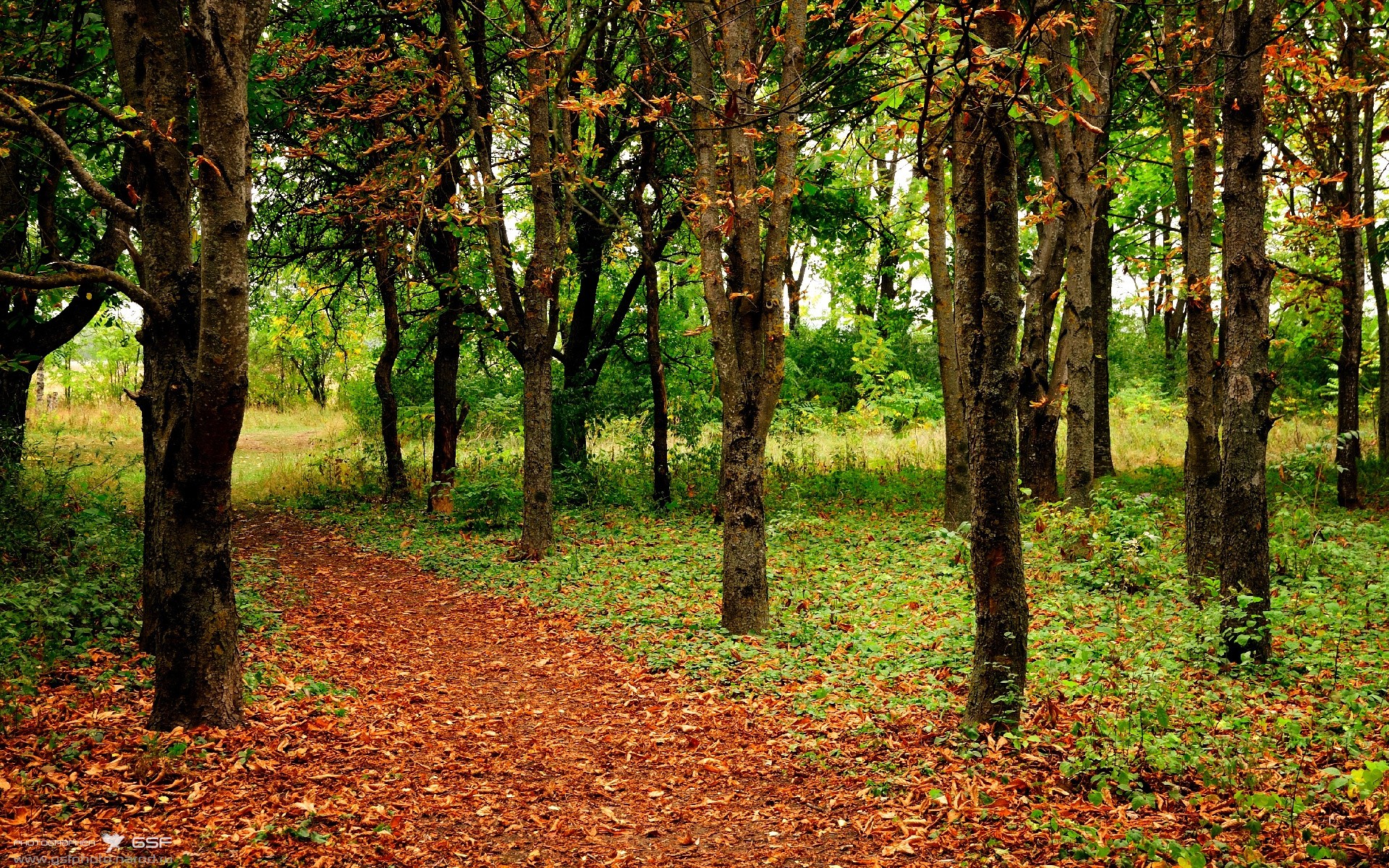 勇士破敌，恩比德逆境封神，一场输家的制胜表演