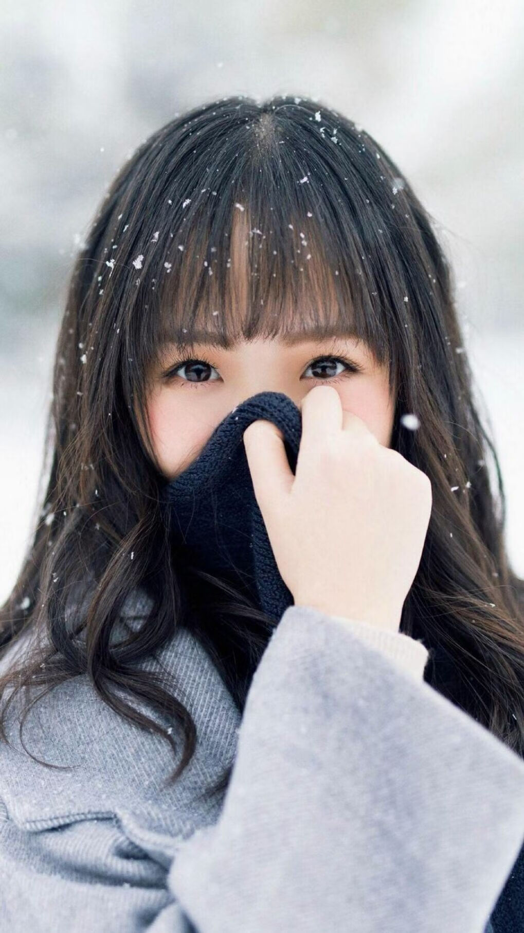 速度对决,F1年度争冠焦点战与新疆队速胜黄蜂的激情共鸣