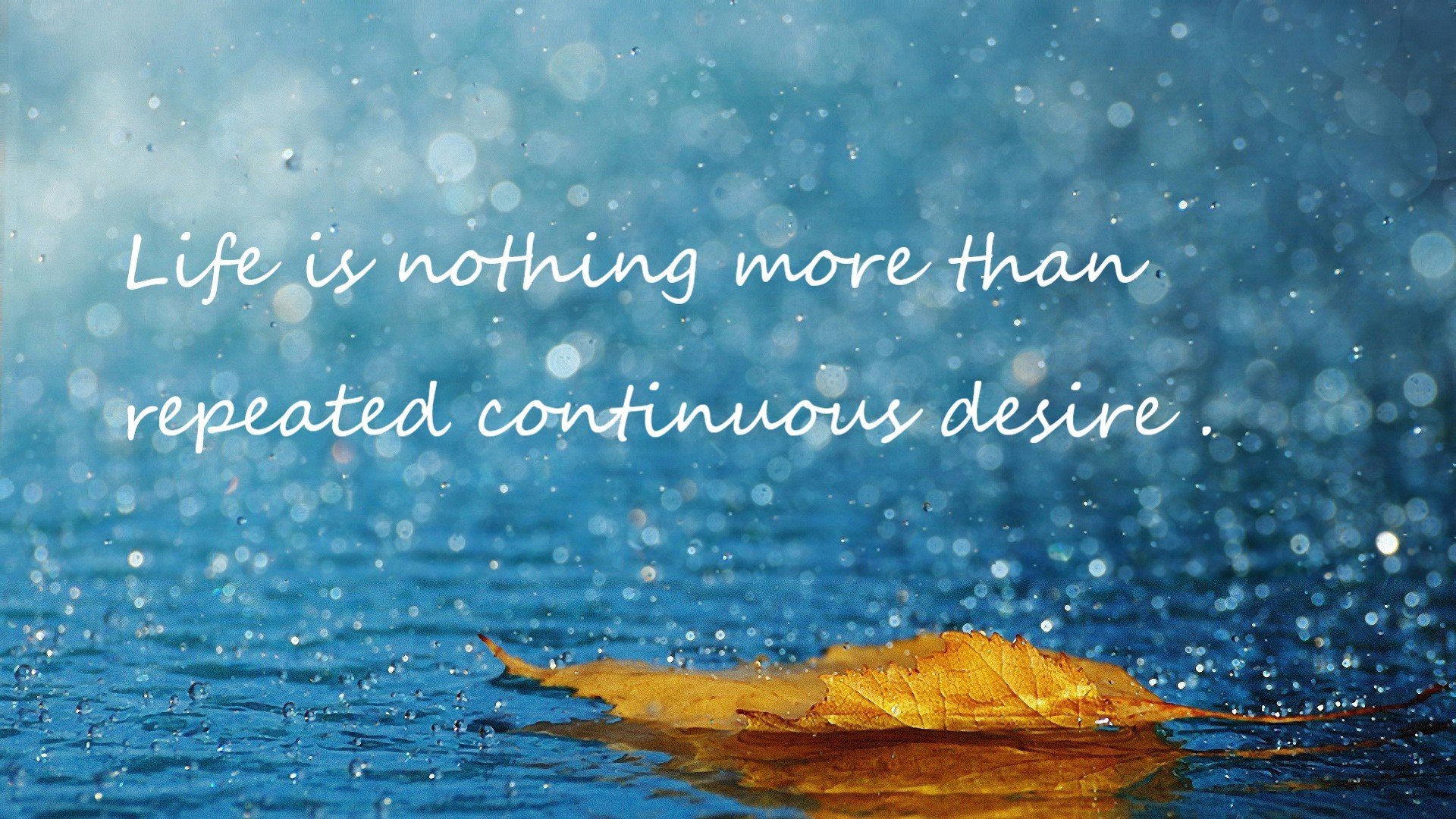 F1年度争冠之夜，与德罗赞的硬仗哲学