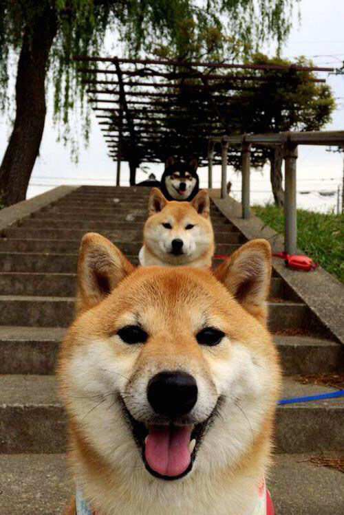 开云体育登录-墨西哥硬仗取胜乌拉圭，基米希关键节点连续得分—绿茵场上的意志与荣耀