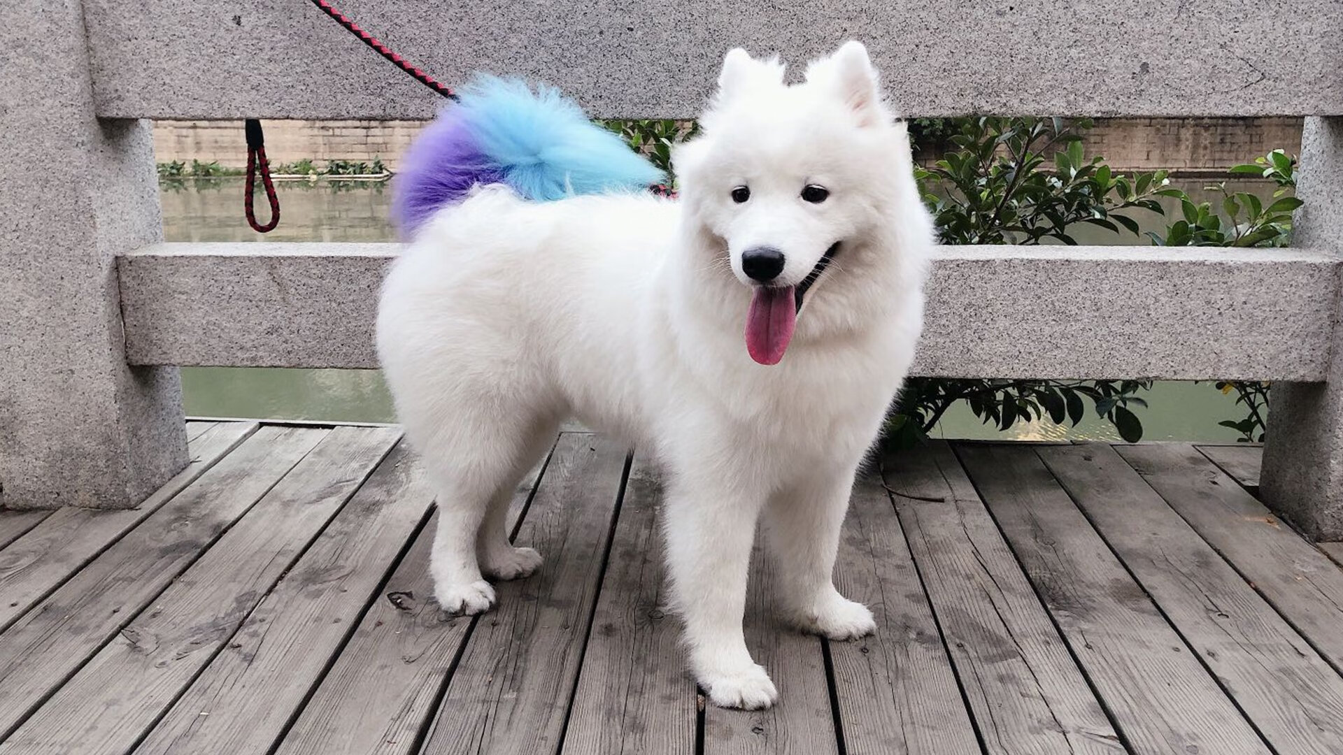 太阳当空照，当战术熔炉锻出关键先生，塔图姆的蜕变粉碎热火铁血