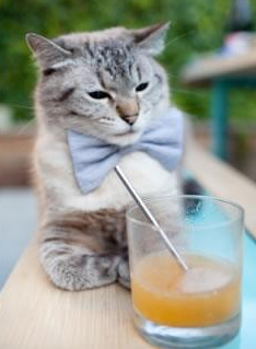 沉默刺客霍勒迪，奥运前哨战，他一手导演雄鹿对凯尔特人的第三节惨案